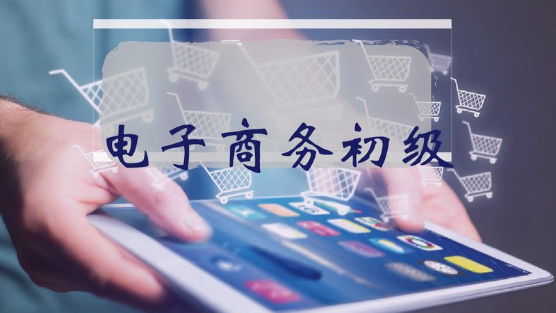独立站代运营：揭秘其优势与挑战并存之谜